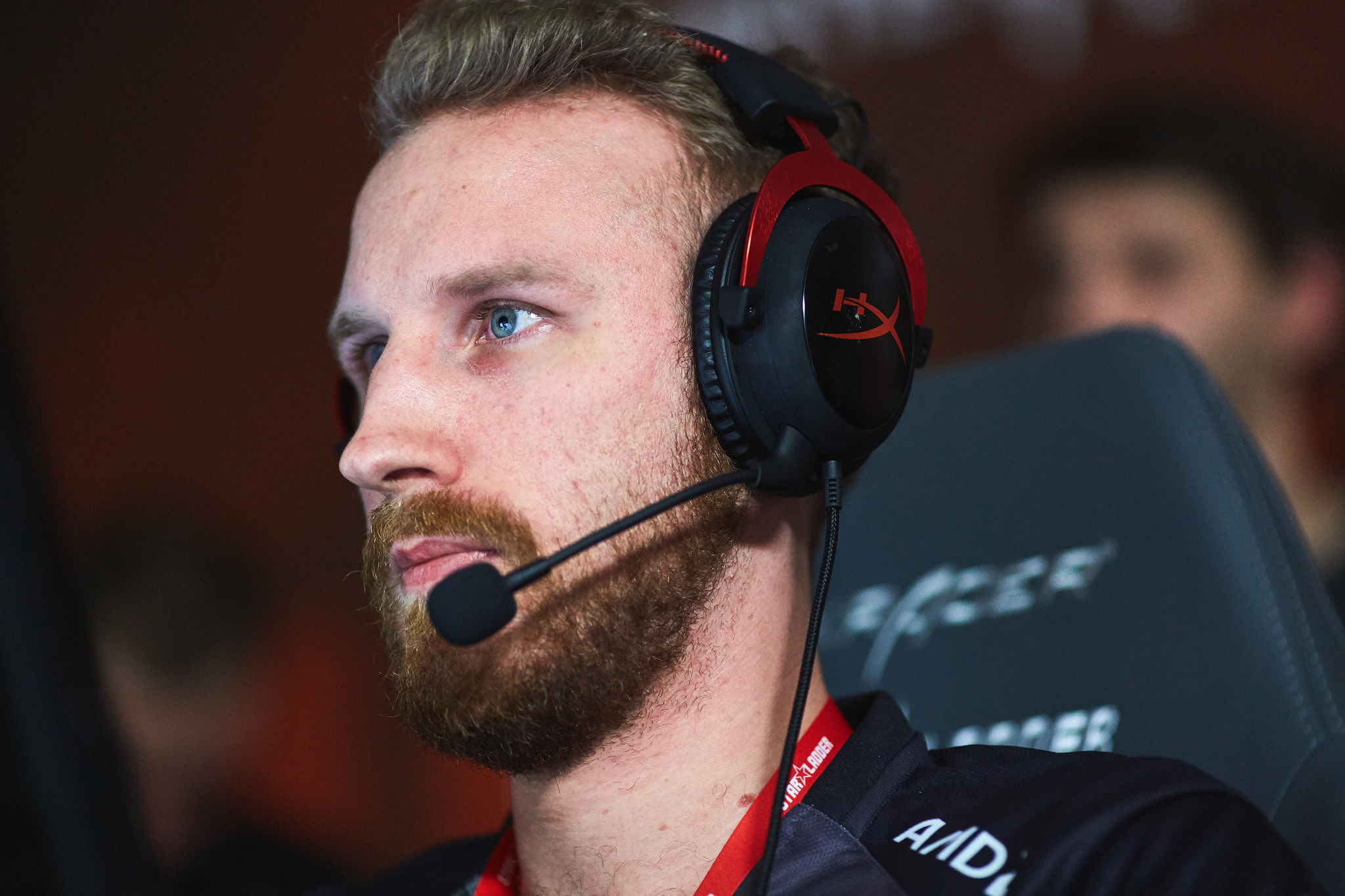 Olofmeister steam profile фото 16