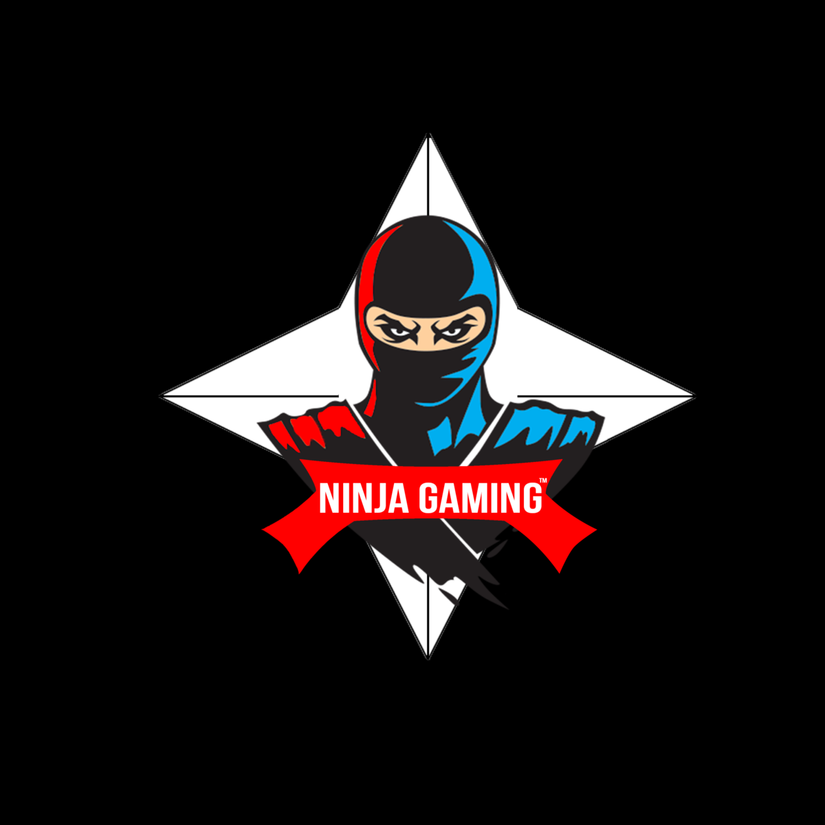 Турниры ниндзя. Ниндзя турнир. Ninja logo PUBG. Ninja Gamer. Результаты ниндзя.