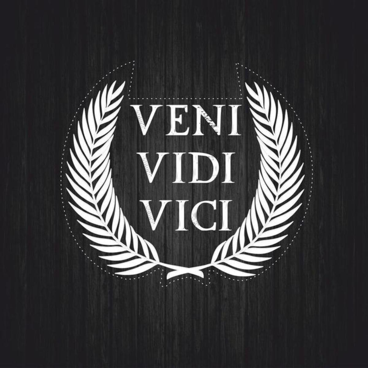 vidi veni vici