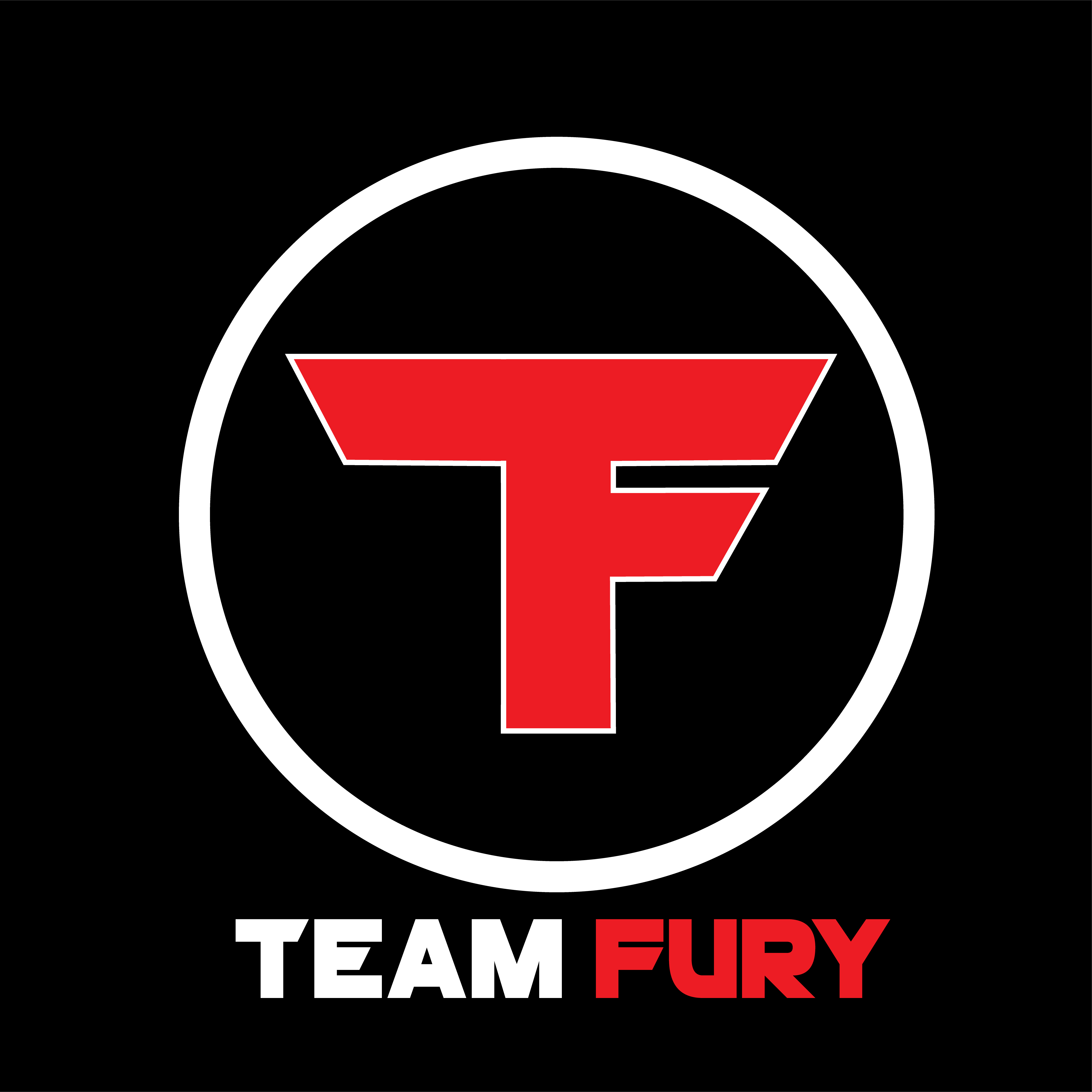 Team Fury - pubg.starladder.com