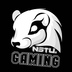 NSTU.Gaming