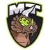 MT Gaming