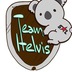 Team Helvis