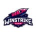 Winstrike Team