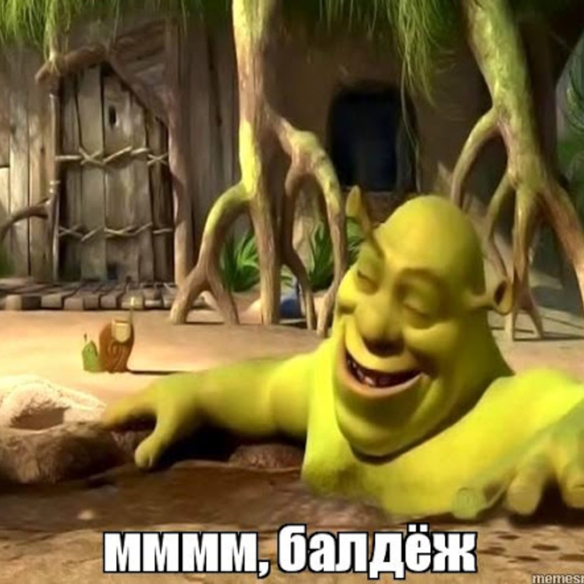 Шрек спасибо за внимание для презентации