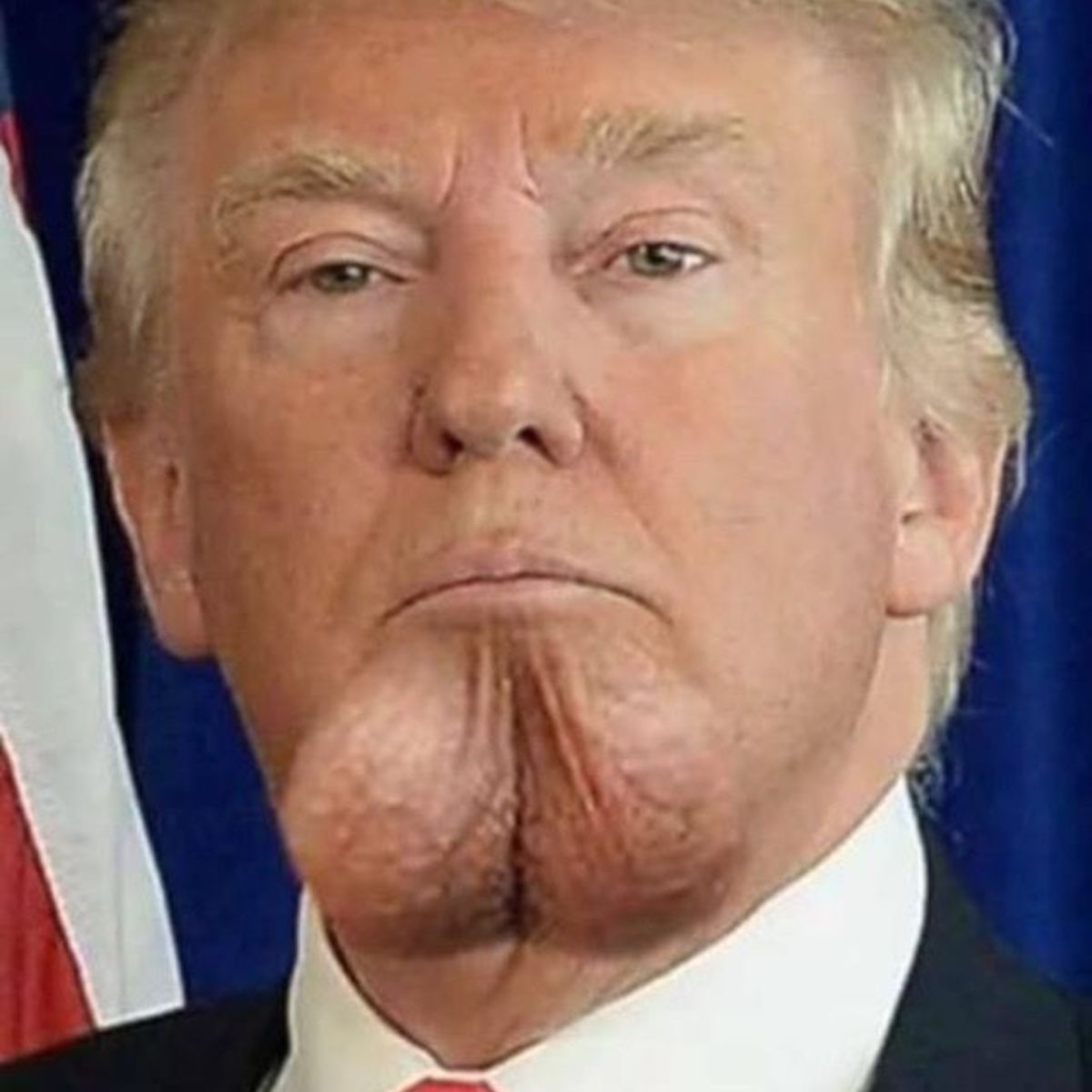 Trump has a tiny mushroom dick