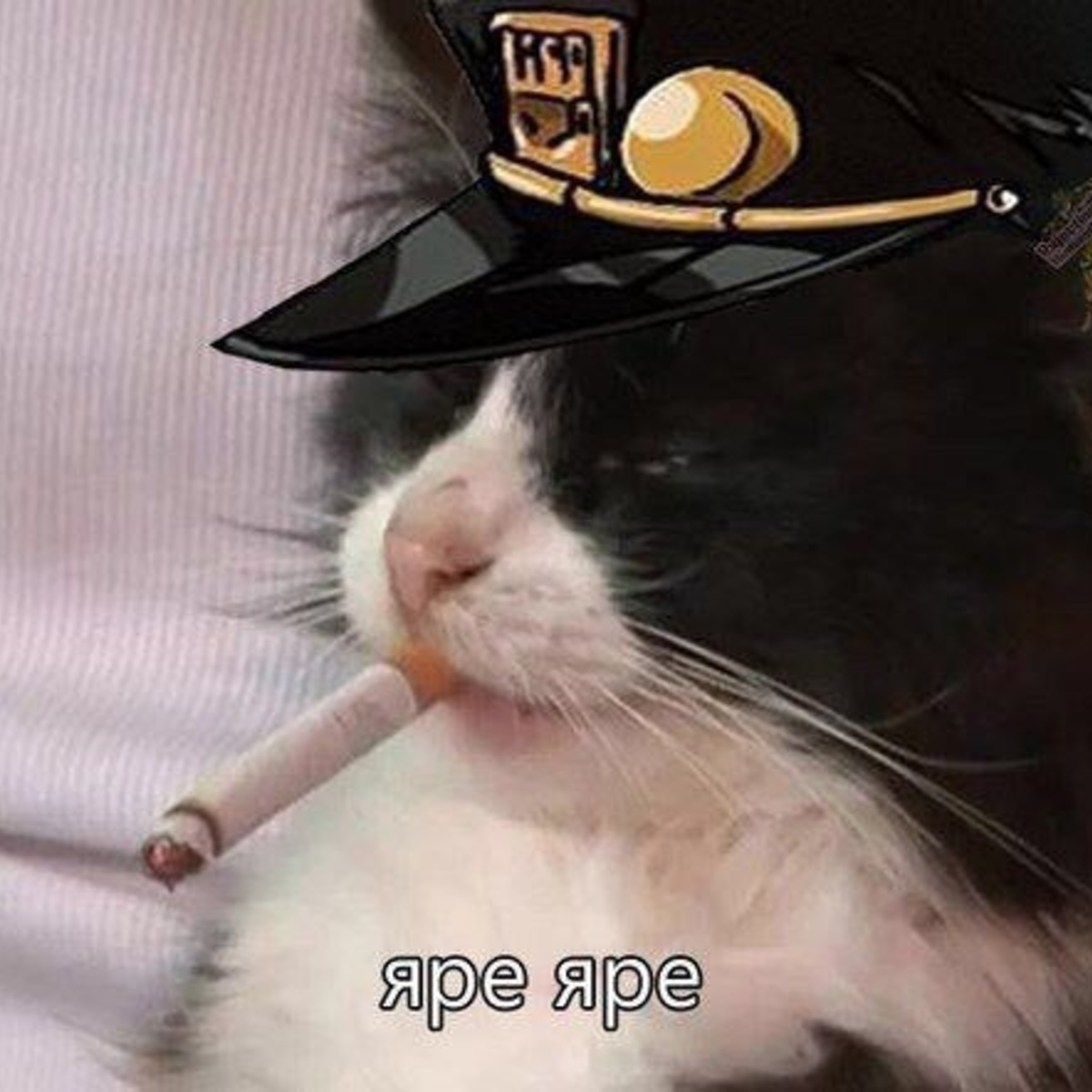 Курящая кошка