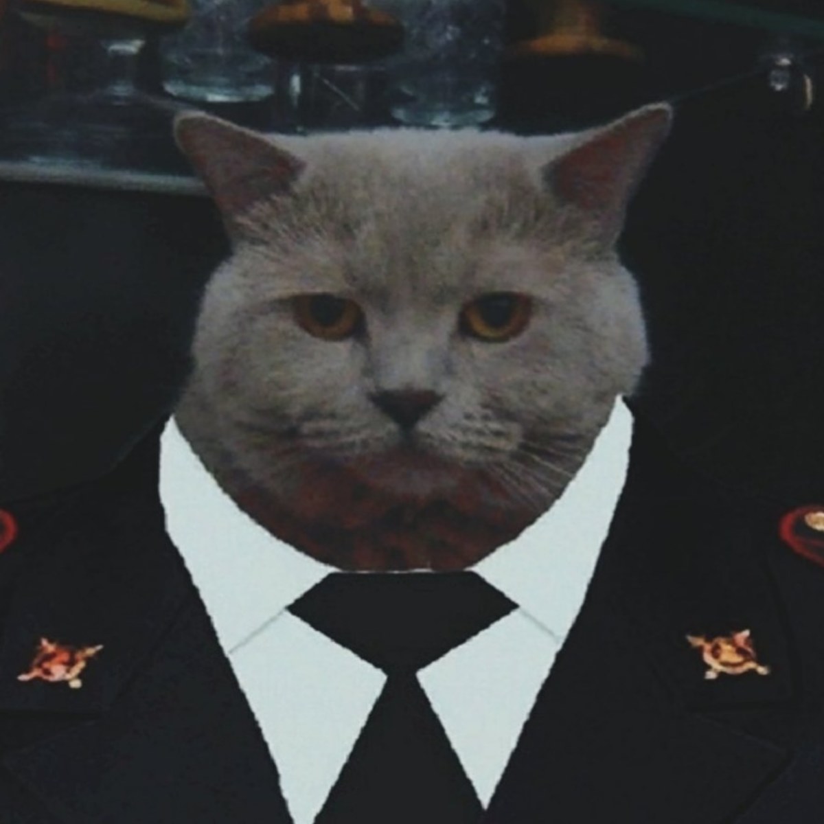 Картошка В Мундире Мем